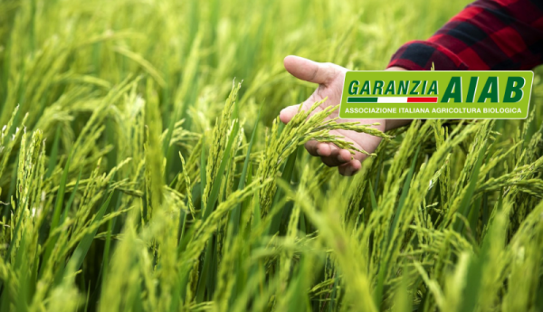 4.1 Garanzia AIAB